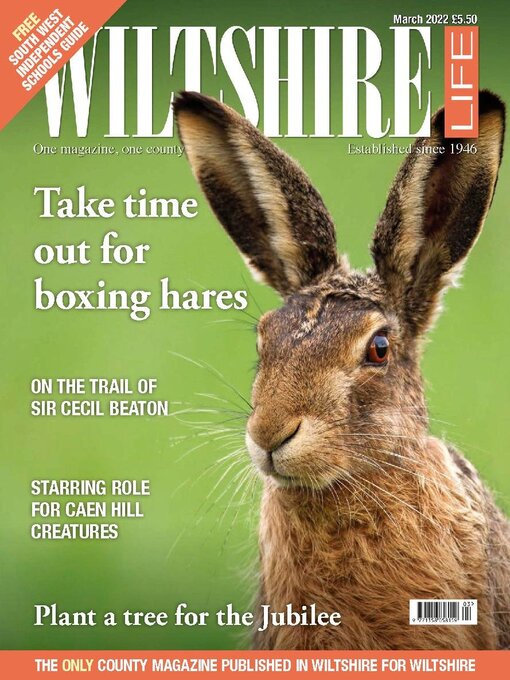 Title details for Wiltshire Life by Mark Allen Business & Leisure - Available